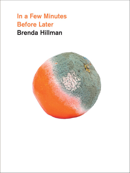 Title details for In a Few Minutes Before Later by Brenda Hillman - Available